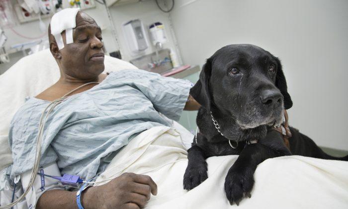Cecil Williams Gets to Keep Guide Dog Orlando After Donations Pour In