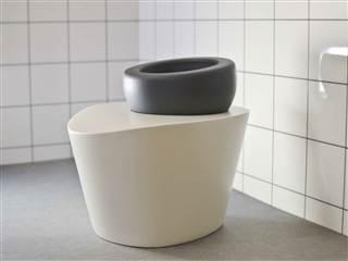 Toilet of the Future? This Toilet Reconfigures to User’s Posture