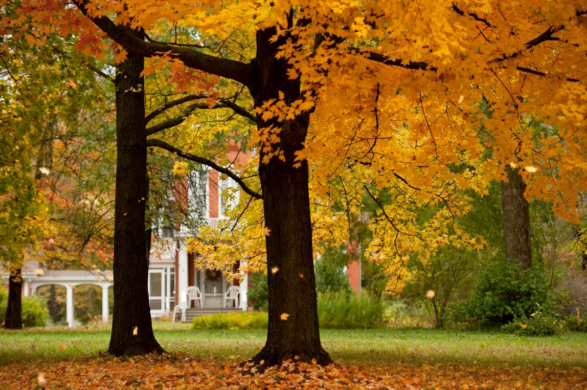 Top 7 Reasons Gray Days Equal Good Photos
