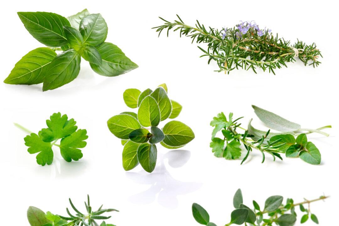 Holiday Eating Tips for Diabetics