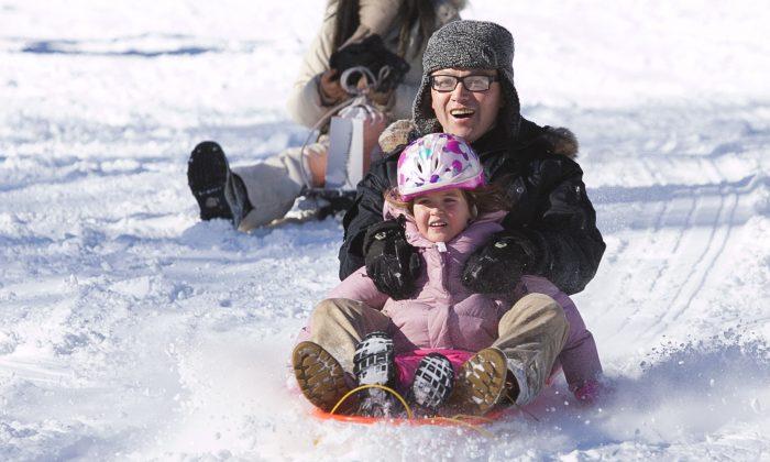 New Yorkers Enjoy Tobogganing in Central Park (+Photos)