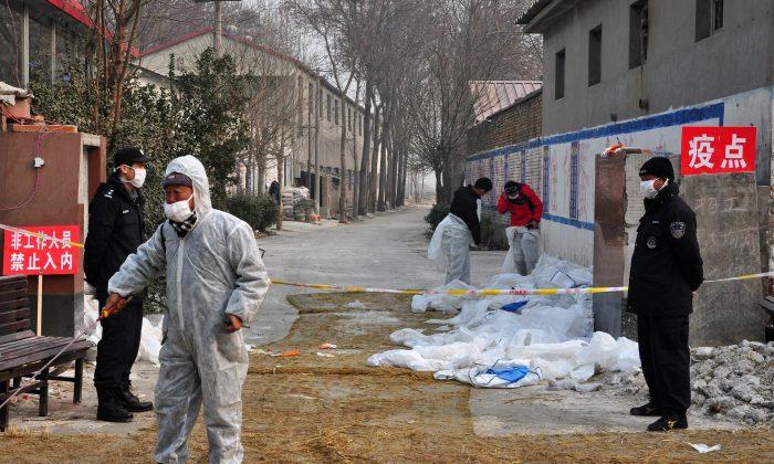 UN Warns of Bird Flu Increase in China
