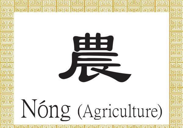 Chinese Character for Agriculture: Nóng(農)