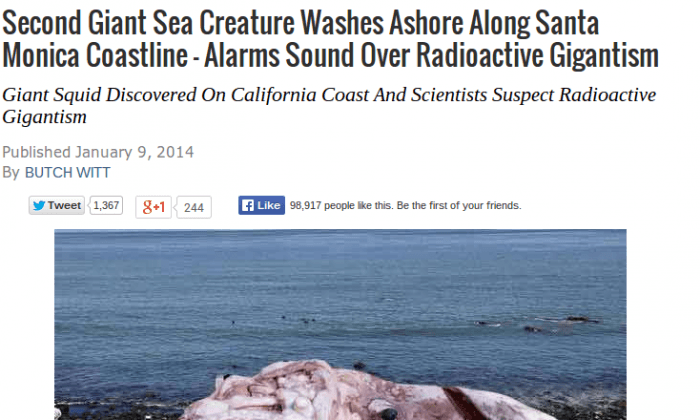 Giant Squid Satire: Photo of Santa Monica Giant Squid is a Hoax; Tricks Some