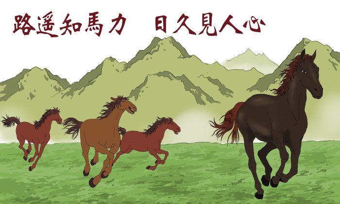 Chinese Idioms: A Long Road Tests a Horse’s Strength (路遙知馬力)
