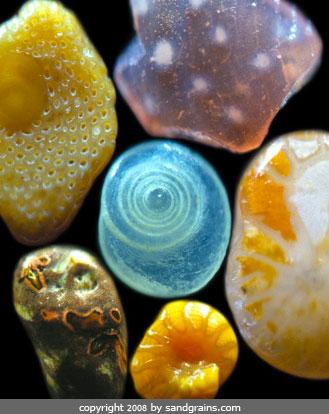 Astonishing Beauty, Diversity of Sand Grains Revealed at Microscopic Level (Photos)