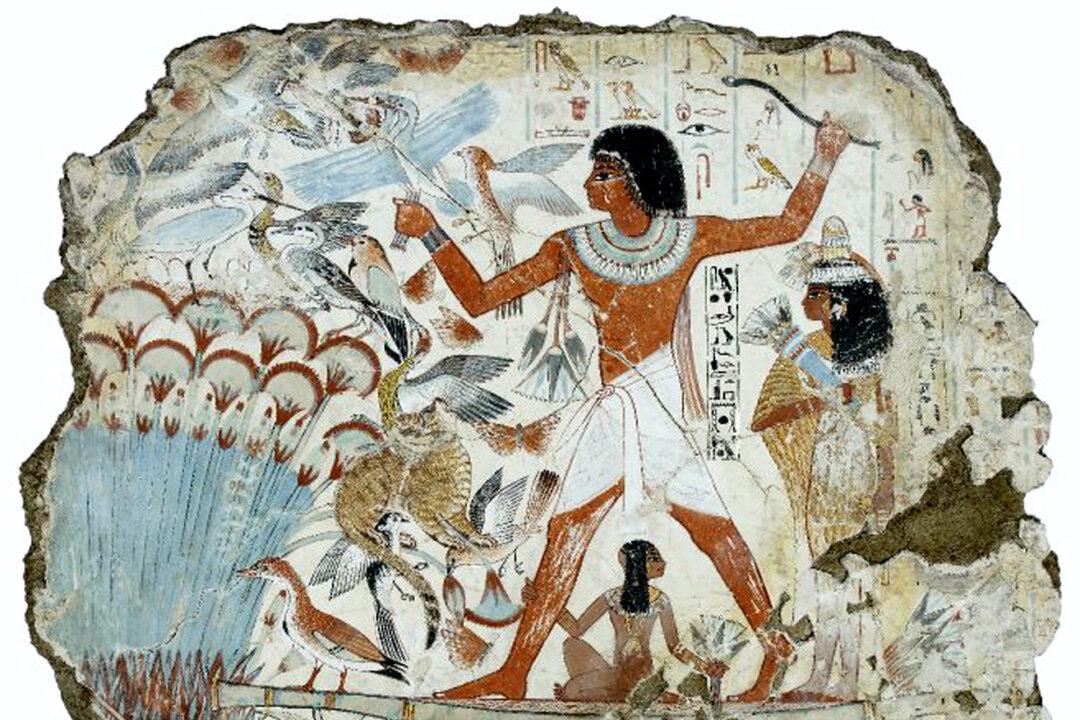 Sustaining Our Wish for Fish