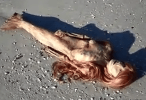 Dead Florida Mermaid: YouTube Video Attacked in Rebuttal as Fake