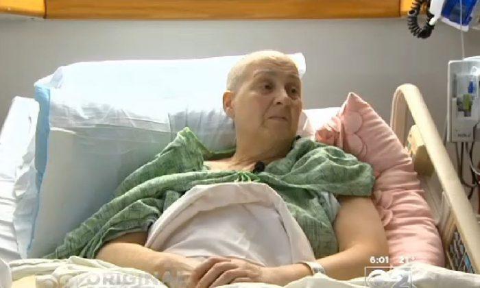 Elisa Madonia Lawsuit: Illinois Woman Elisa Madonia Sues Company That Fired Her Hours After Cancer Diagnosis