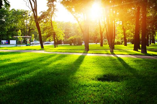 Green Cities Provide a Mental Health Boost That Lasts