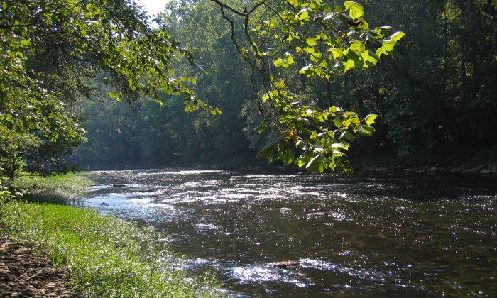 Elk River Chemical Leak in West Virginia: 8 Counties Under State of Emergency