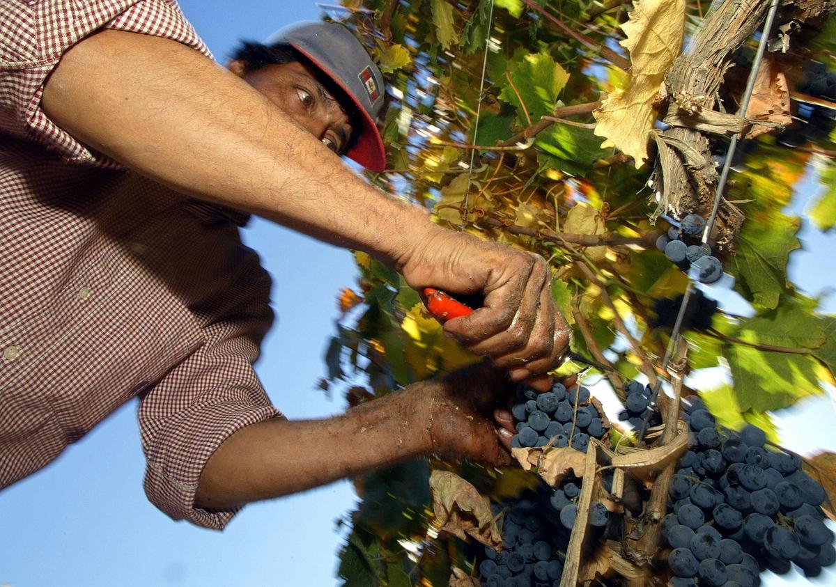 Canadian Farmers Lose Out as Plants Keep Closing
