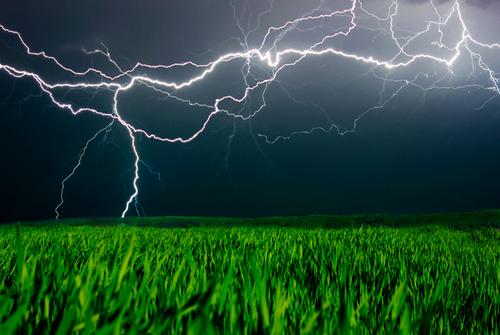 Amazing Nature: Lightning Creates Food Out of Thin Air