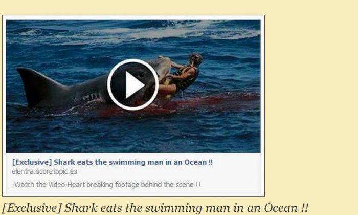 ‘Shark Eats the Swimming Man in Ocean’ Video is a Facebook Scam