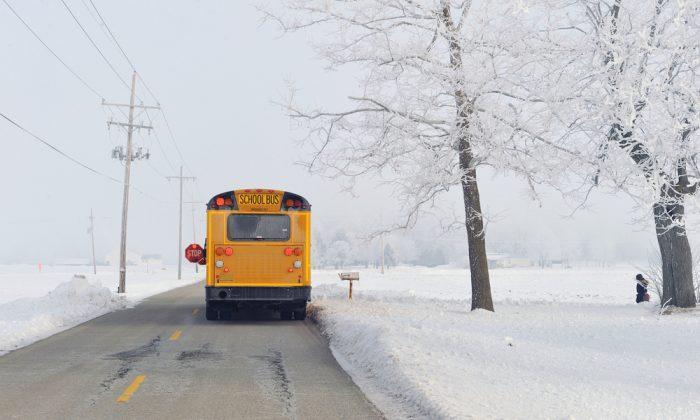 Bus Cancellations for the Toronto, and Upper Canada School District Area