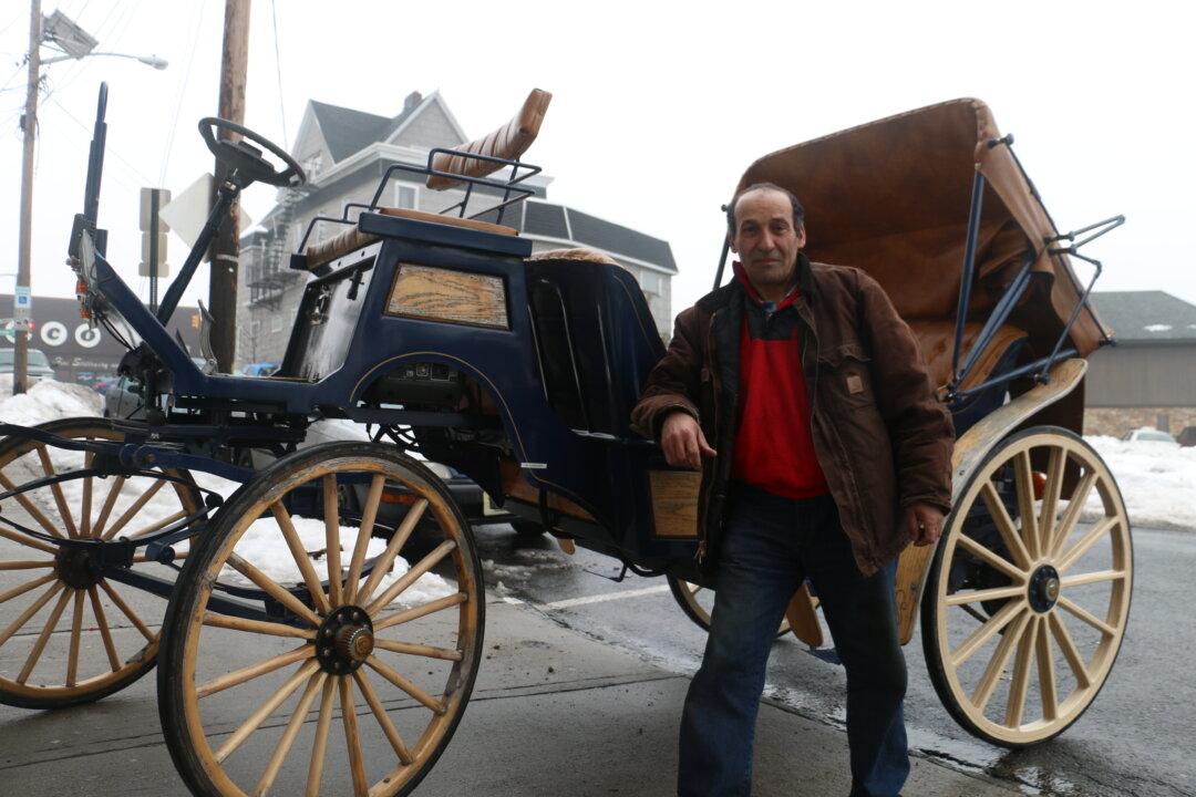 Electric Carriage: A Replacement for Carriage Horses in New York City?