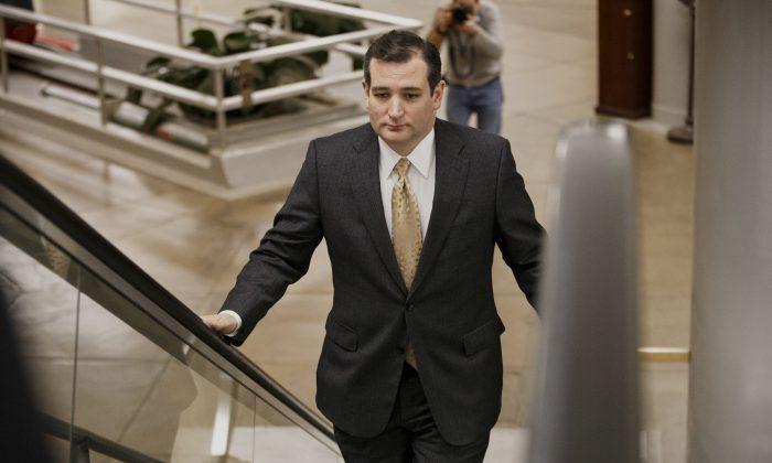  Ted Cruz Wants US to ‘Stand up to Putin’s power grab' in Ukraine
