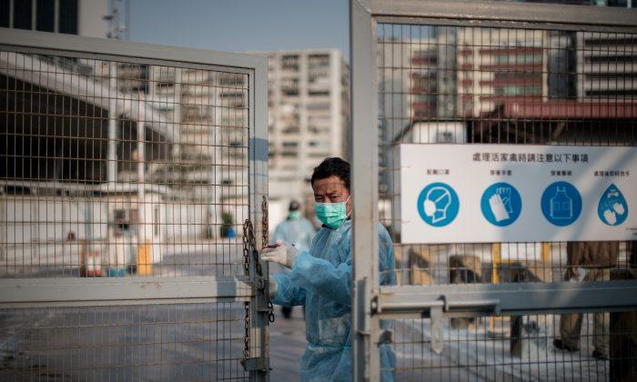 Bird Flu Reappears in China, Mutations Feared