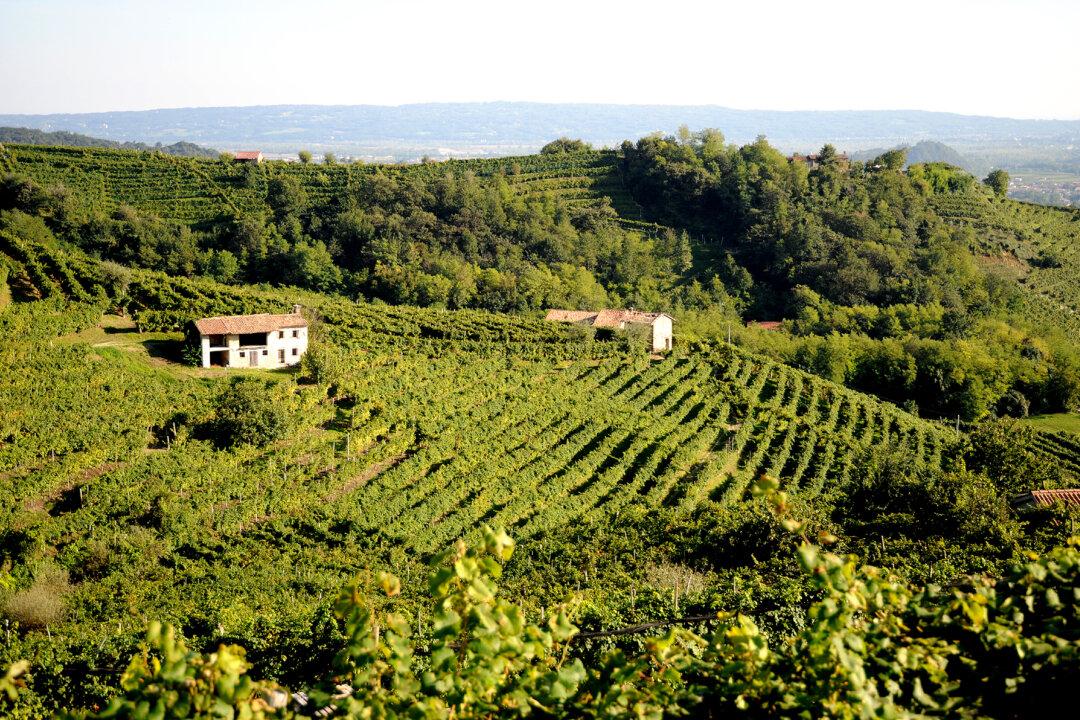 Prosecco, Italy’s Sparkling Gem