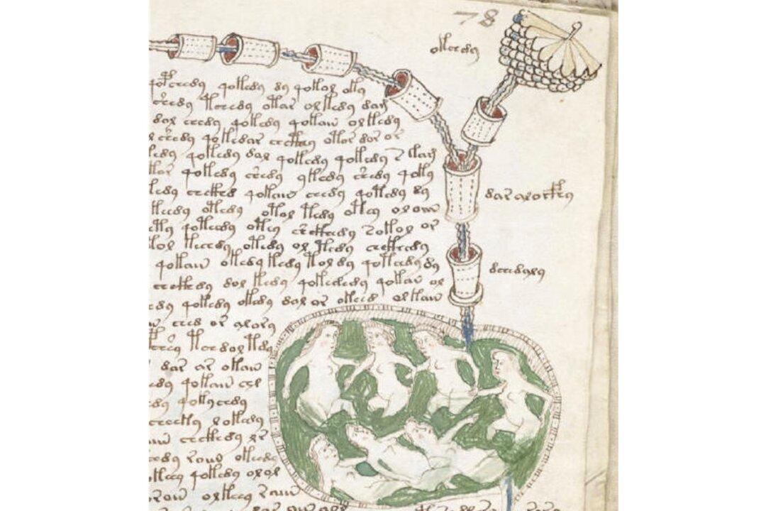Have Botanists Unlocked the Secret of the Mysterious Voynich Manuscript?