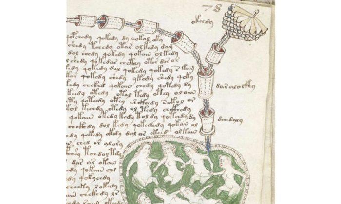 Have Botanists Unlocked the Secret of the Mysterious Voynich Manuscript?