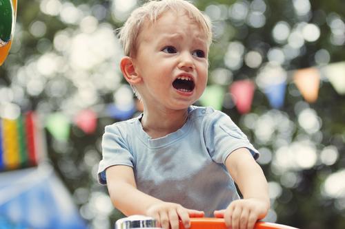 Toddlers’ Aggression Is Strongly Associated With Genetic Factors