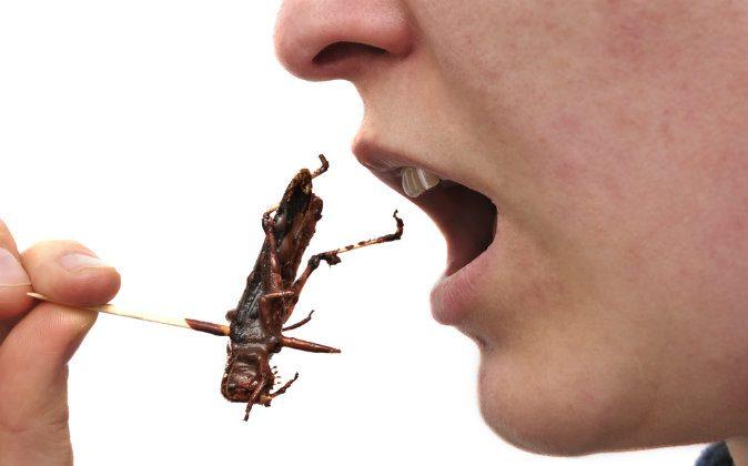 11 Bugs a Lot of People Love to Eat