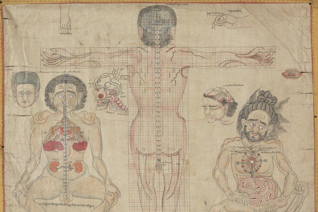 The Tibetan Healing Arts, Illustrated