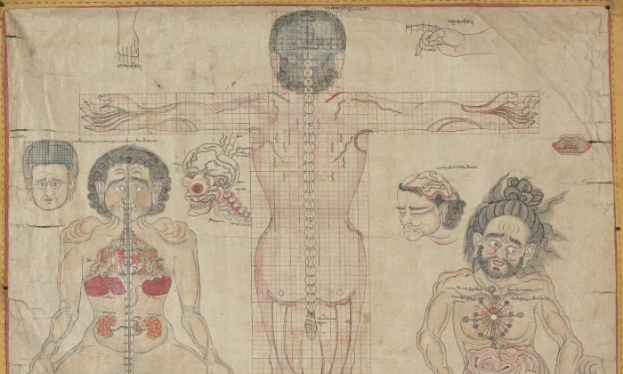 The Tibetan Healing Arts, Illustrated
