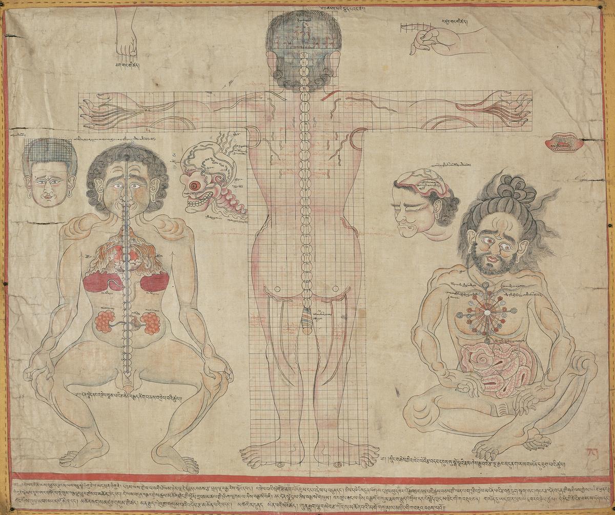 The Tibetan Healing Arts, Illustrated