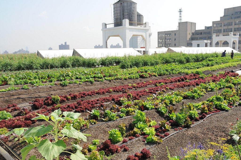 DEP Offers $6 Million in Grants for Green Projects