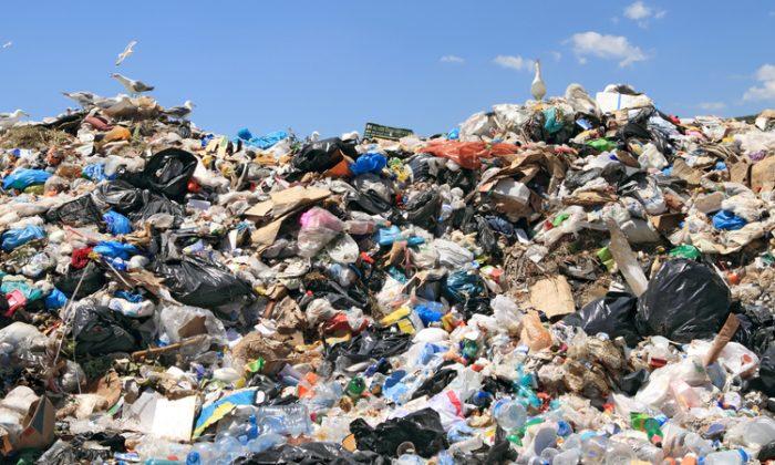 How to Create Wealth From Waste and Reduce Our Landfill