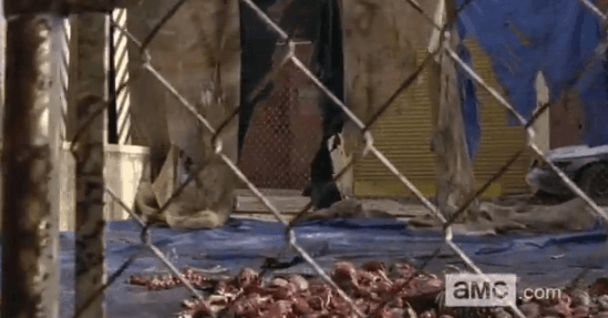 Walking Dead: Proof that Terminus Residents Are Cannibals? (Photo)