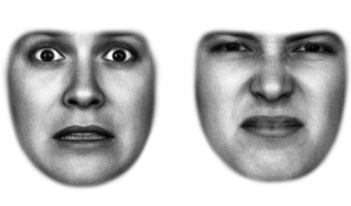 Faces Show Fear and Disgust to Help Eyes See