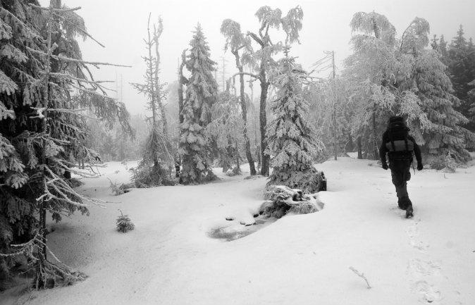 Bigfoot Isn’t the Only Elusive Creature Said to Roam the Canadian Wilds (+Videos of Wendigo, Ogopogo Sightings)