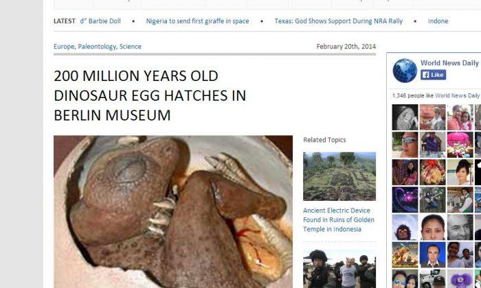 ‘200 Million Years Old Dinosaur Egg Hatches in Berlin Museum’ of Natural History Is Fake