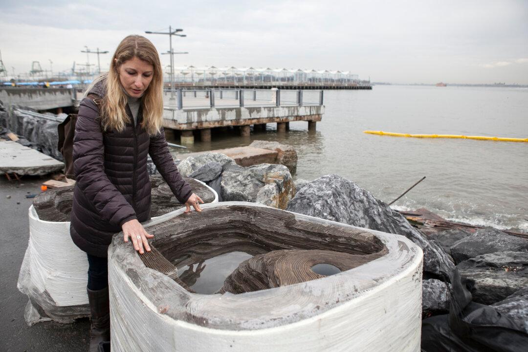 NYC Marine Life Bolstered by Israeli Technology