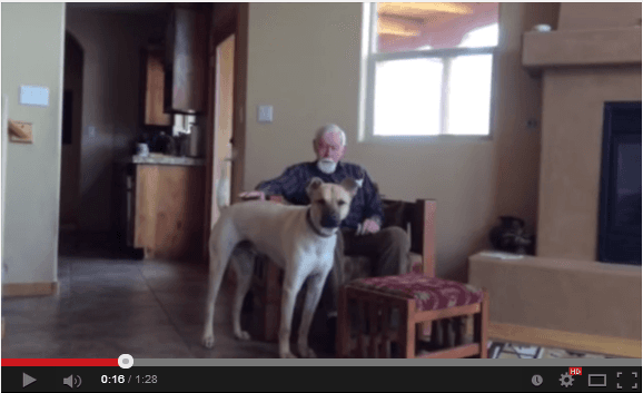 Her Father Has Alzheimer’s, But When He Is With The Dog, This Magic Happens (Moving Video)