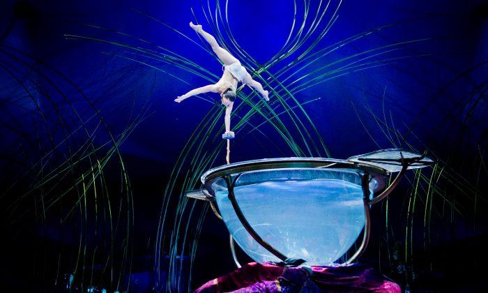 Theater Review: ‘Amaluna’