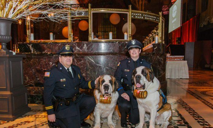 In the Line of Healing: Therapy Dogs Soothe First Responders