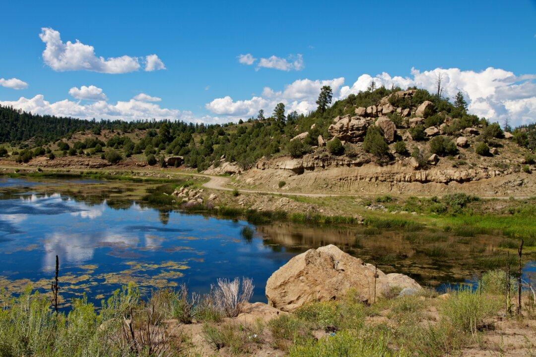 Alien-Human Battle of 1979 in New Mexico: Alleged Eye-Witness Report