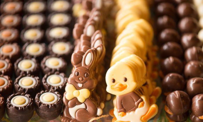 Furry Friends Warned to Stay Away From Easter Treats