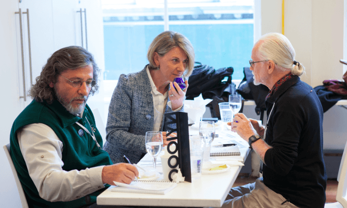 Crowning Olive Oil’s Best at the New York International Olive Oil Competition