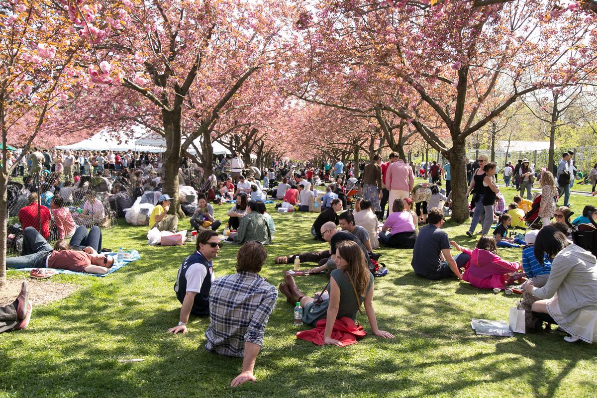 Unseen City: Spring’s Fleeting Beauty