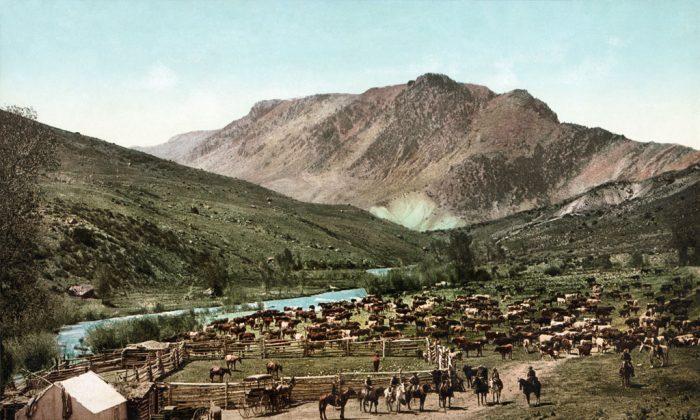 Ranchers and Empire in the American West