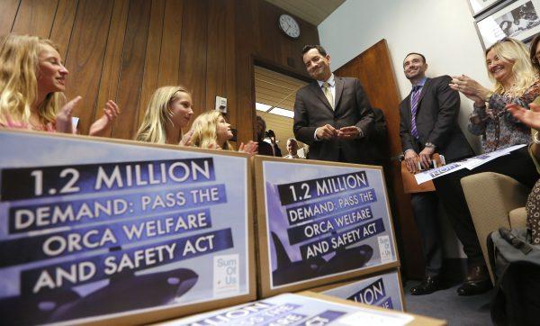 Supporters of a bill that bans holding killer whales for performance and entertainment purposes applaud Assemblyman Anthony Rendon, D-Lakewood, center, for pledging his support of the measure, Monday, April 7, 2014, at the Capitol in Sacramento, Calif. (AP Photo/Rich Pedroncelli)