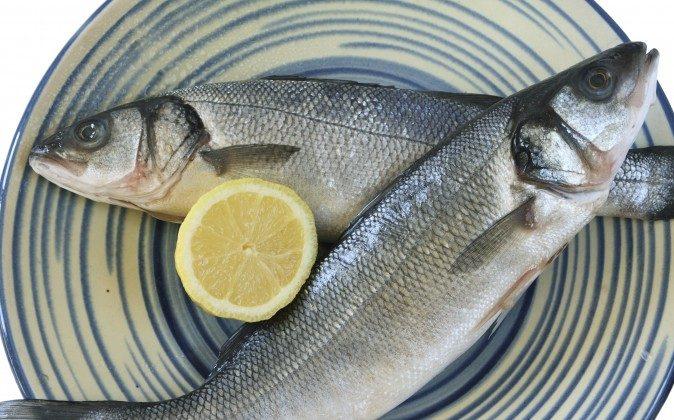 Is Farmed Seafood Safe to Eat?