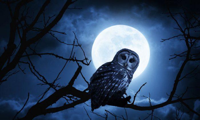 Night Owls Are Less Likely to Get Married