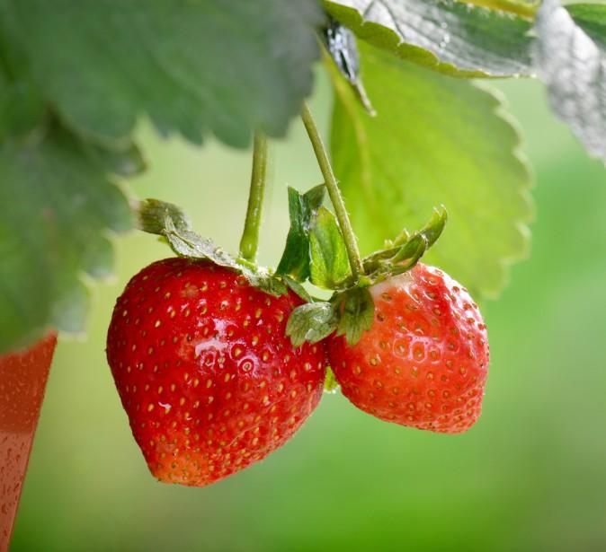 Why your detox is making you sick: Must-read article reveals dangers of aggressive detoxing