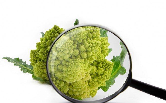 Why Broccoli is Crucial in Helping Our Immune System